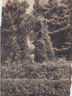 Пам'ятник Міцкевичу (1930 - фот. Хеллера з Надвірної) Kołomyja Kolomea