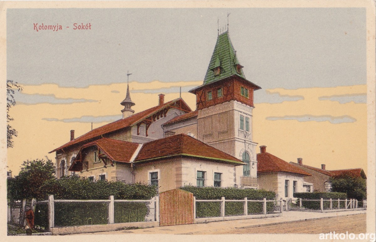 Сокол (Мюллер та Жиборський)