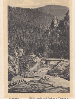 Вид скелі над Прутом в Татарові (Оренштайн)