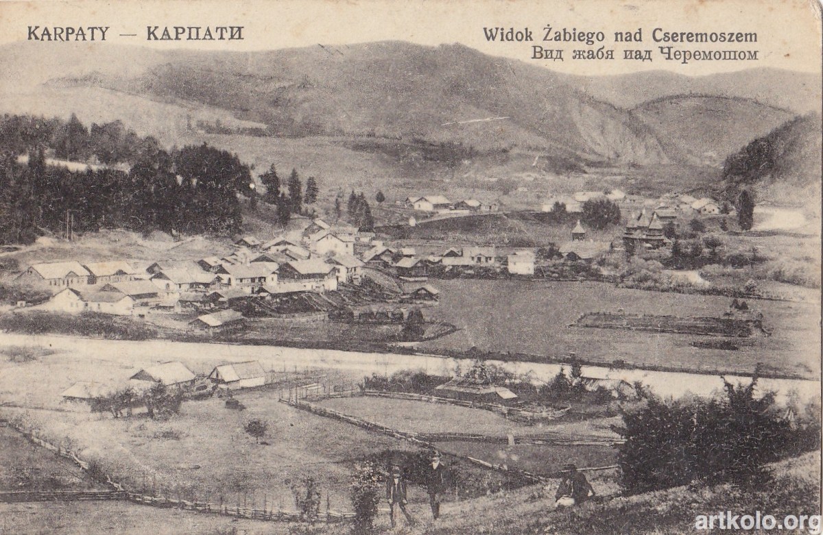 Вид Жаб'я над Черемошем (Оренштайн)