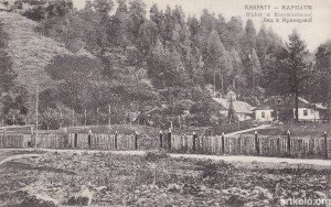 Вид в Криворівні (Оренштайн)