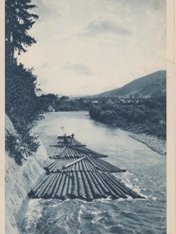 Сплав дерев Черемошем біля Жаб'є-Ільці (W.W. Zabie ad Kosow)